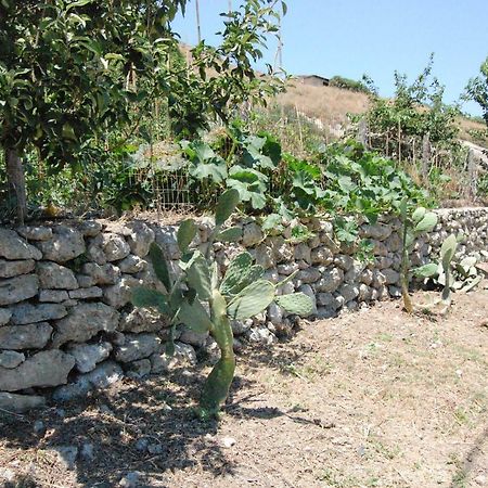 Old Winery House Villa Kolymbari Exterior foto