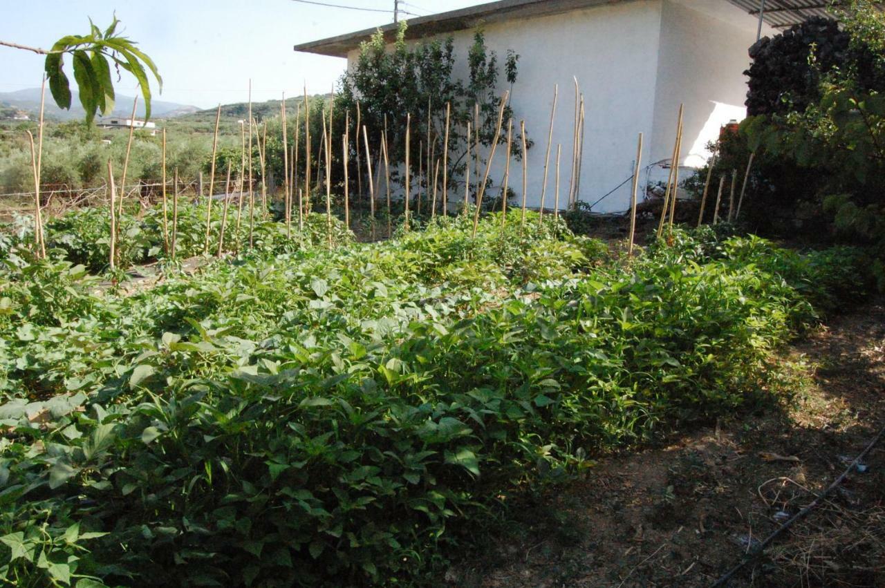 Old Winery House Villa Kolymbari Exterior foto