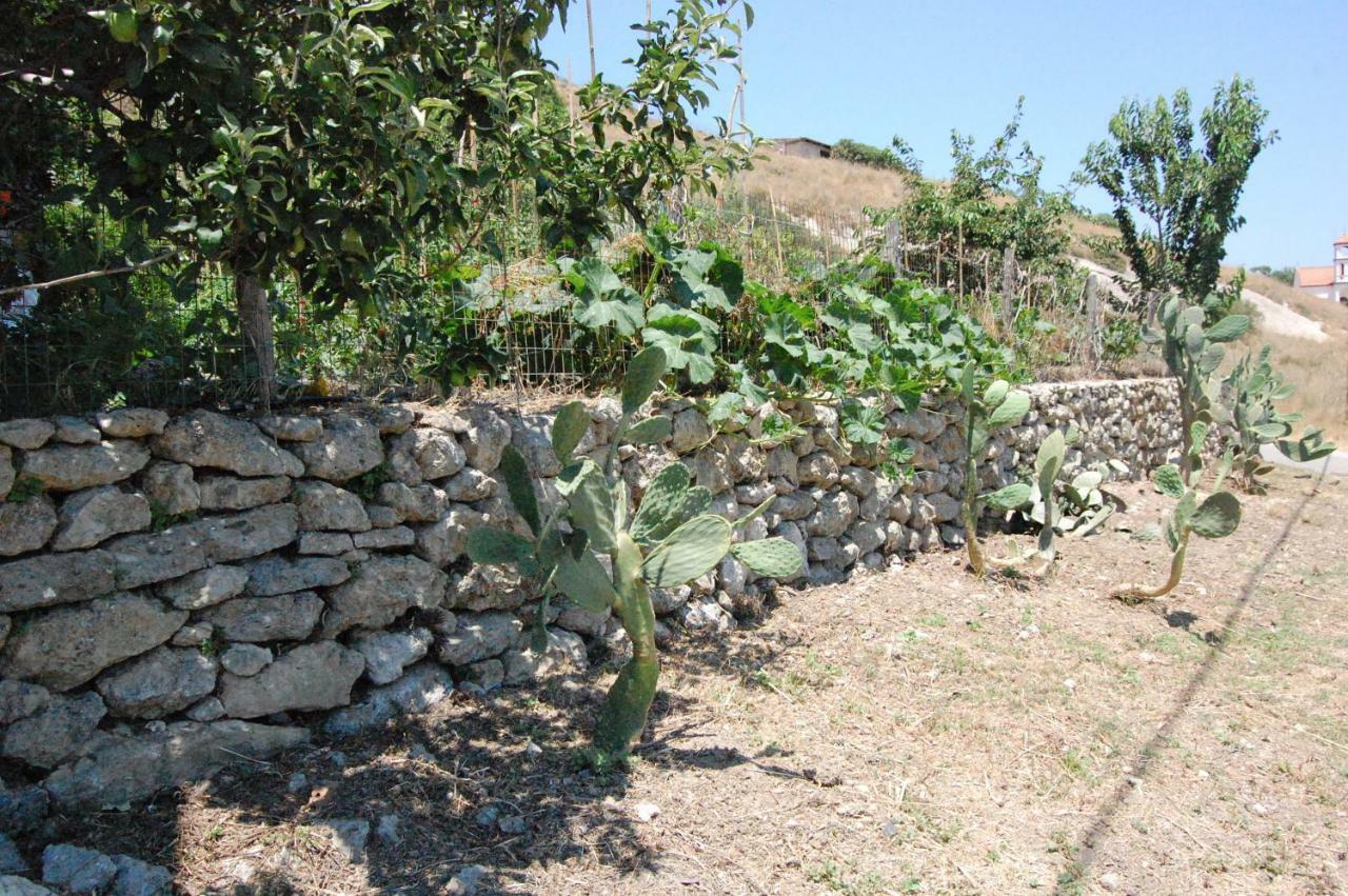 Old Winery House Villa Kolymbari Exterior foto