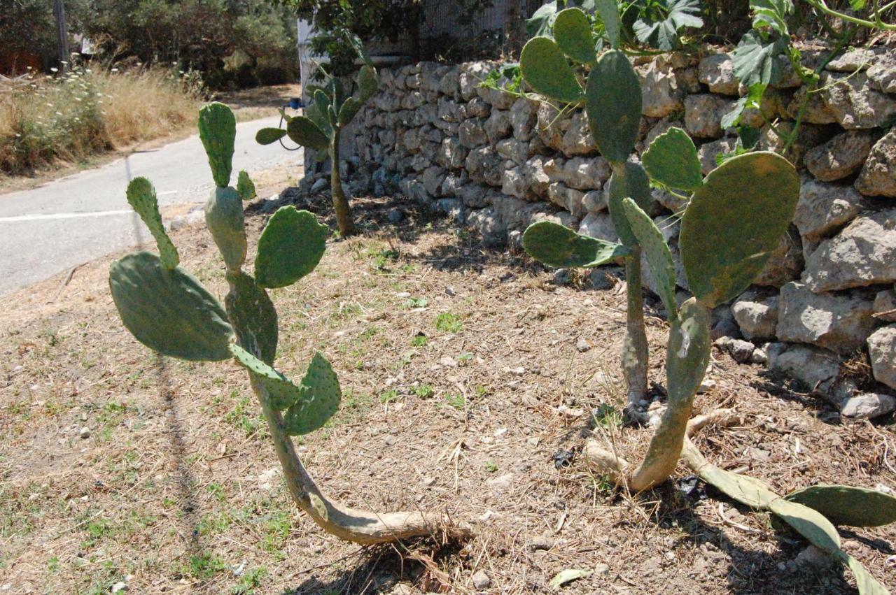 Old Winery House Villa Kolymbari Exterior foto